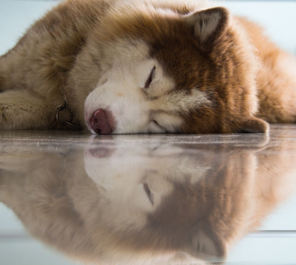 Time For Reflections?